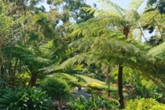 IMG-20200627-WA0040