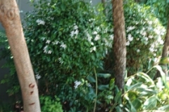 IMG-20200627-WA0060