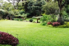 IMG-20200627-WA0092