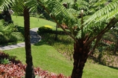 IMG-20200627-WA0093