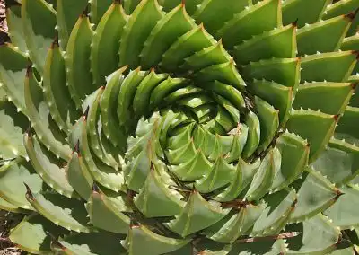 Advanced Horticulture Course (AHC)