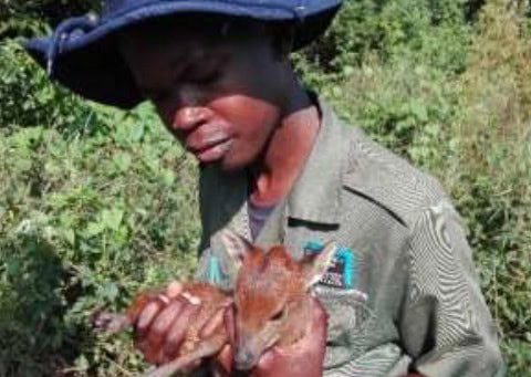 Gardening for Biodiversity