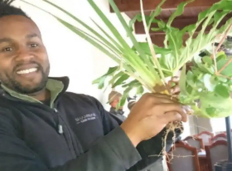 3 Day Garden Workers Training Course