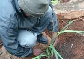 Garden Workers Training Course