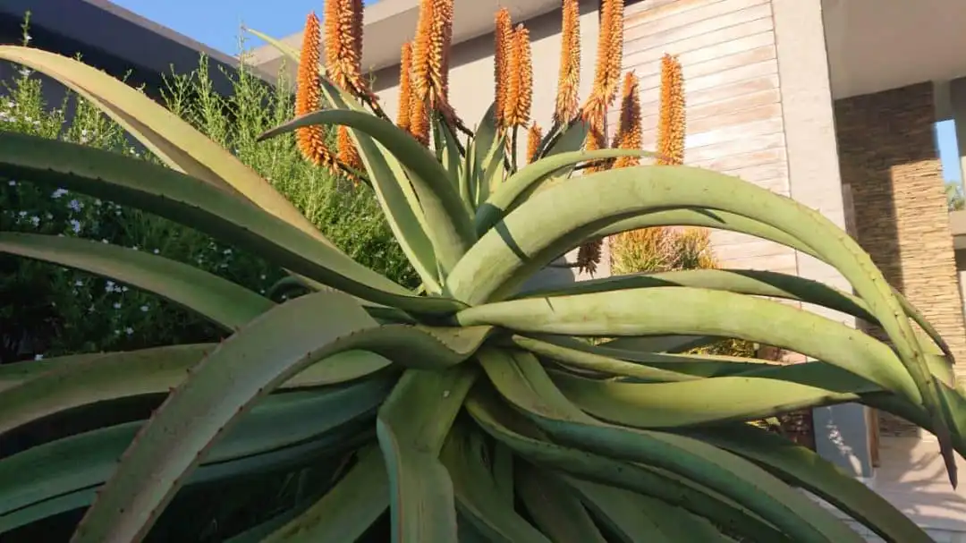 Horticultural Training Course | 3 Day Advanced Course