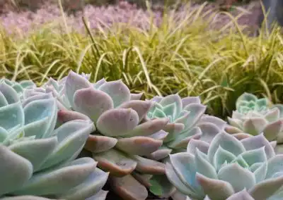 Landscape Quoting Course (LQC)