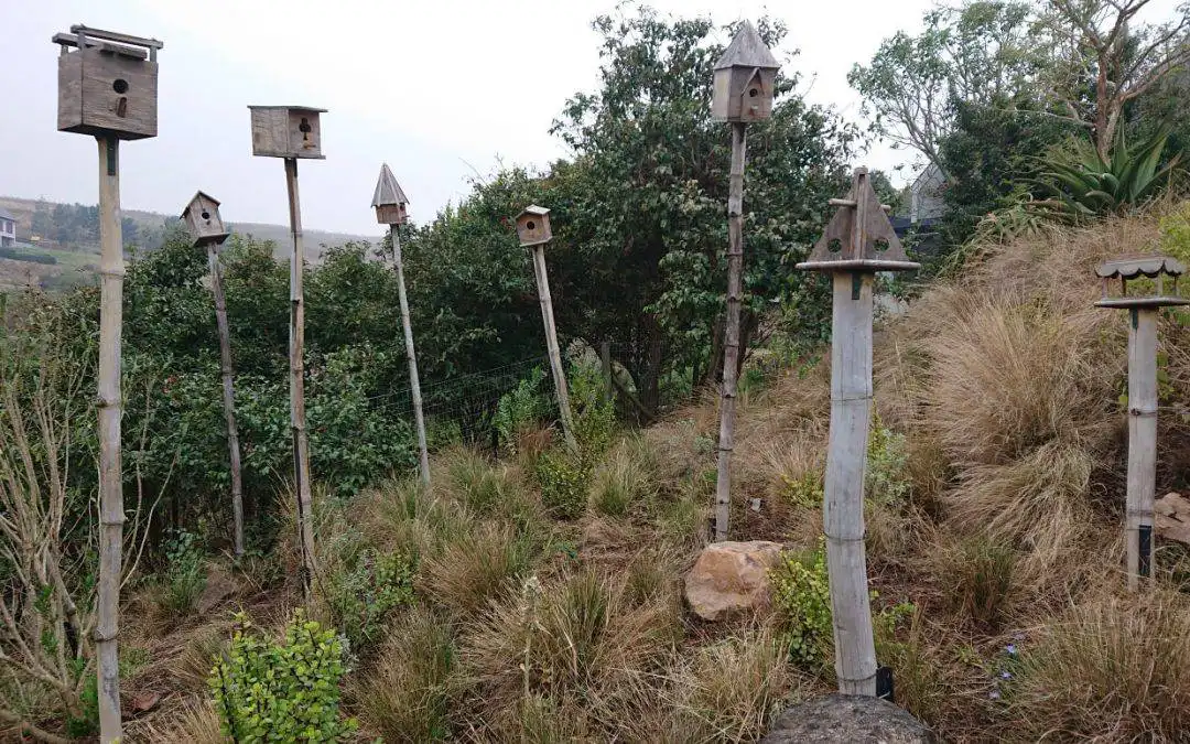 Landscape Ideas