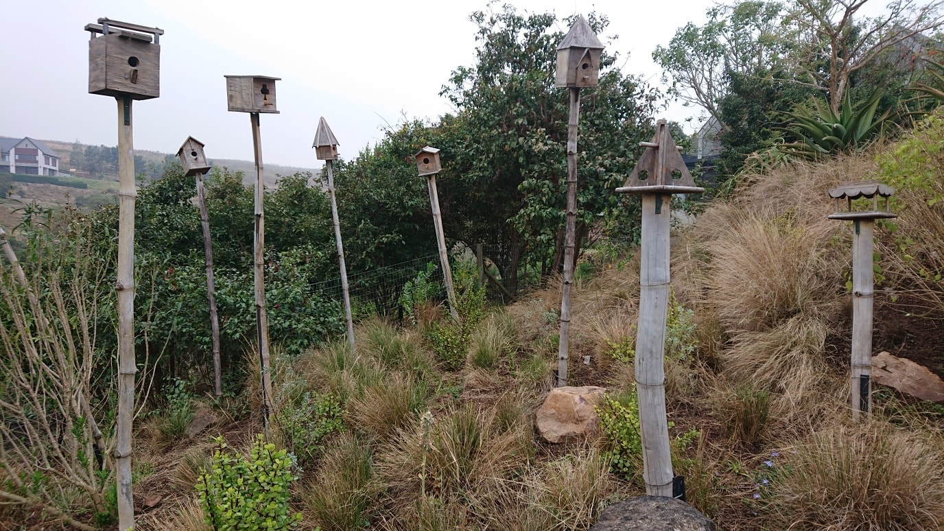 Beautiful bird boxes - african style garden