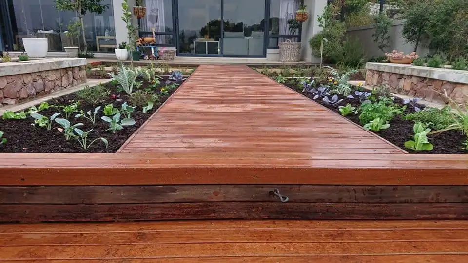 African Themed Garden 2020