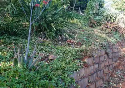 Lush garden landscaping with sustainable plants and eco-friendly solutions for green spaces.