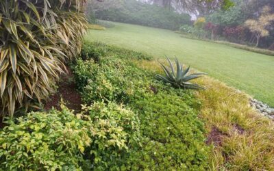 durban landscaping services