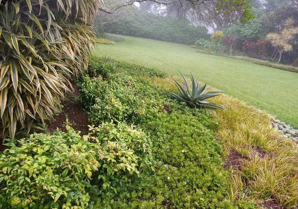 Durban Landscaping Services for Your Home or Business