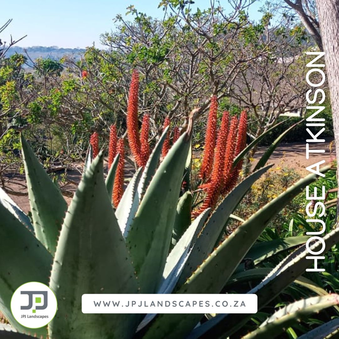 Durban Landscaping