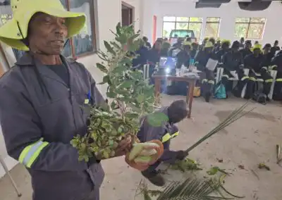 Plant demonstration for sustainable landscaping and eco-friendly garden solutions.