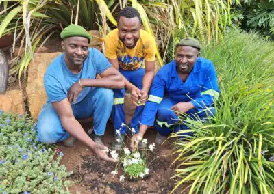 Planting native flowers for sustainable landscaping and eco-friendly environmental solutions.